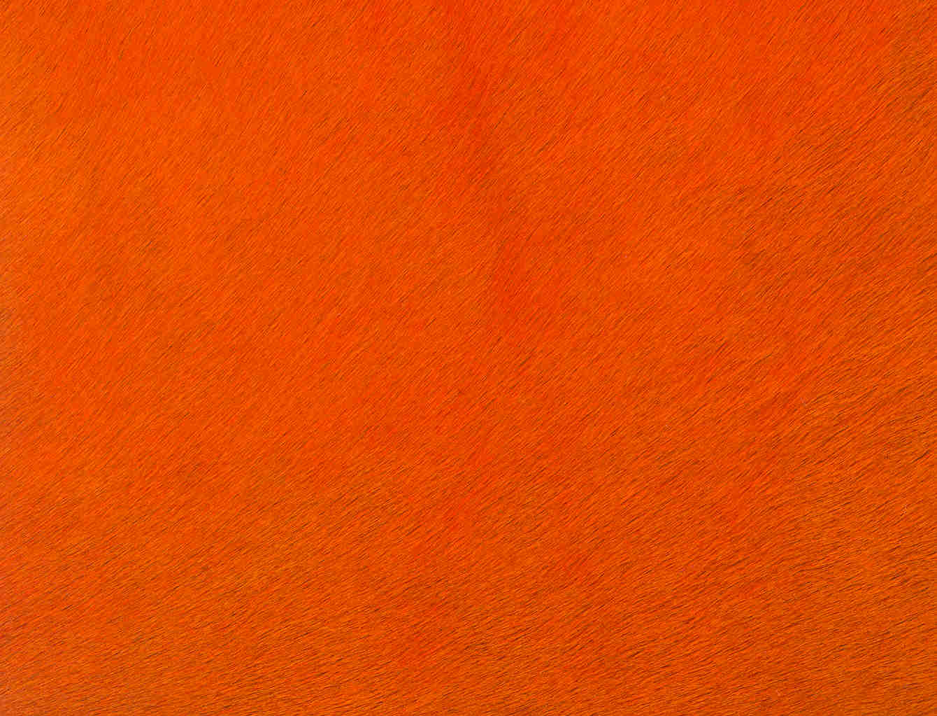 Capelli Brilliant Orange
