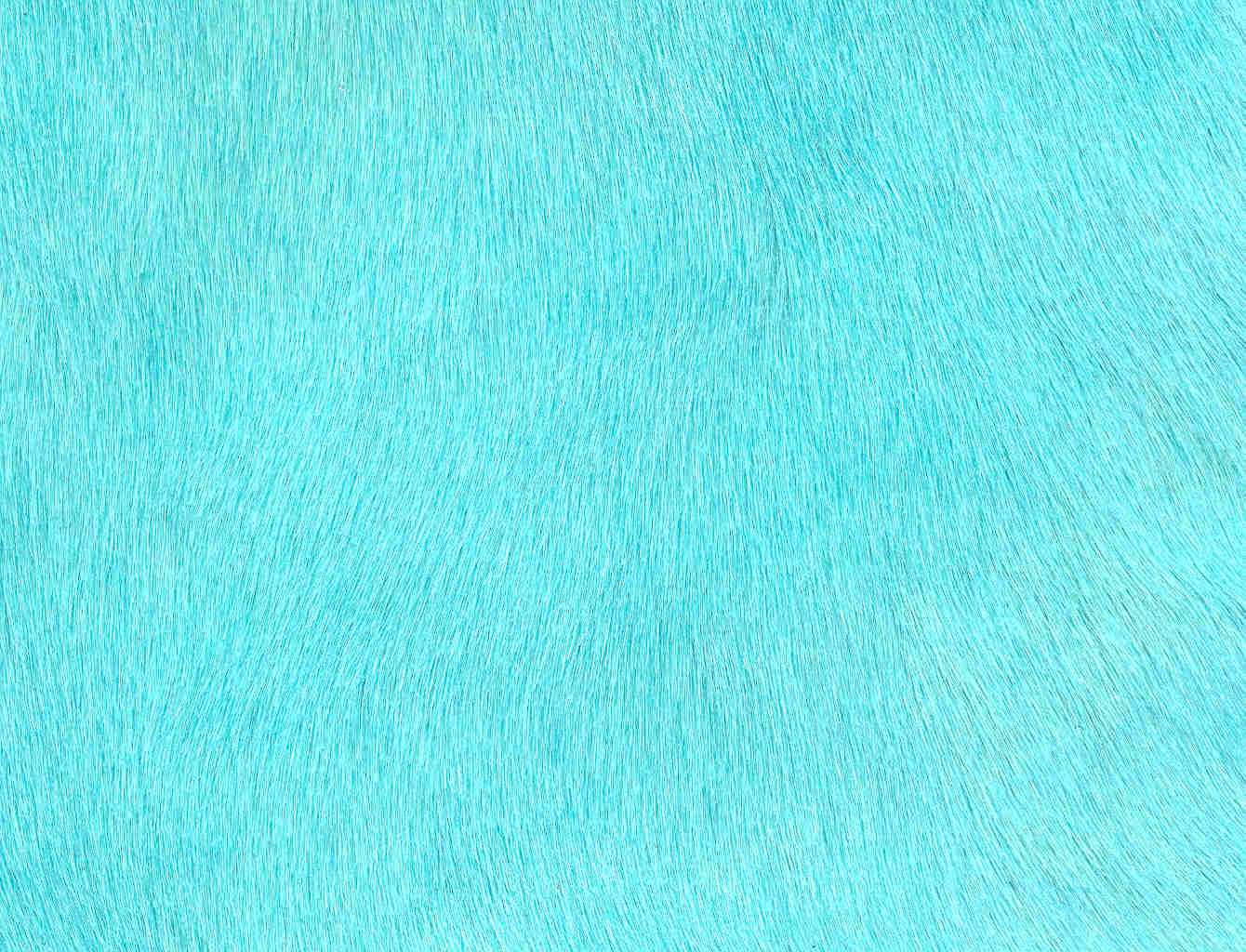 Capelli Turquoise